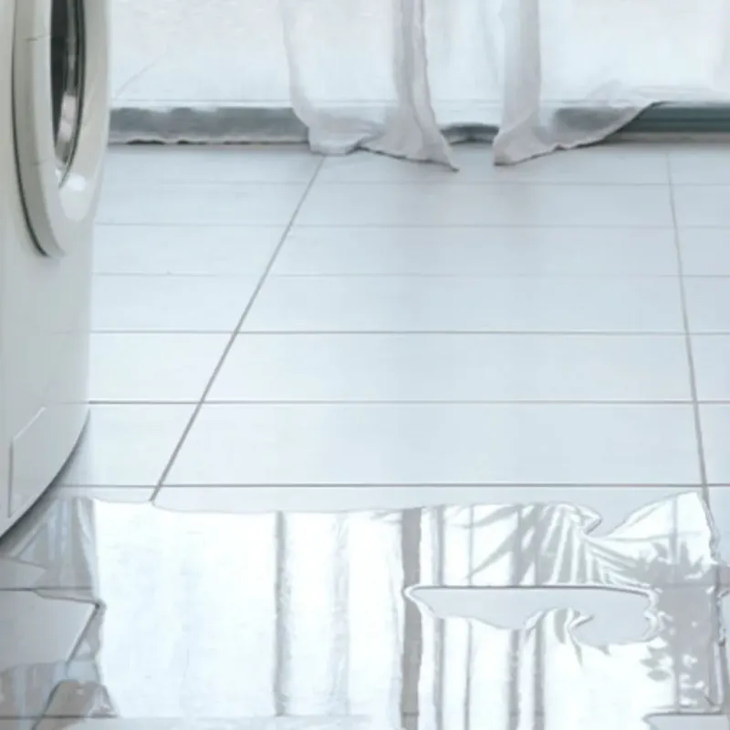 Appliance Leak Cleanup in Mount Rainier, MD