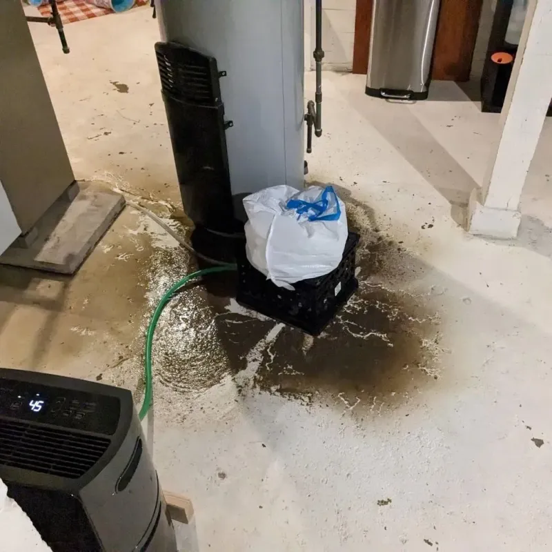Sewage Backup Cleanup Service in Mount Rainier, MD